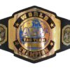 AEW World Tag Team Championship Replica Title Belt - Image 2