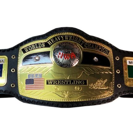 Domed Globe NWA World Heavyweight Wrestling Championship Belt - Image 2