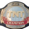 AEW TNT 4mm Brass Belt with 24K Gold Upgrade Leather Strap – Customizable