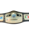 Custom Dome Globe 4MM Zinc SD Championship Belt – Shiny Gold Upgrade, Personalized Leather Strap - Image 2