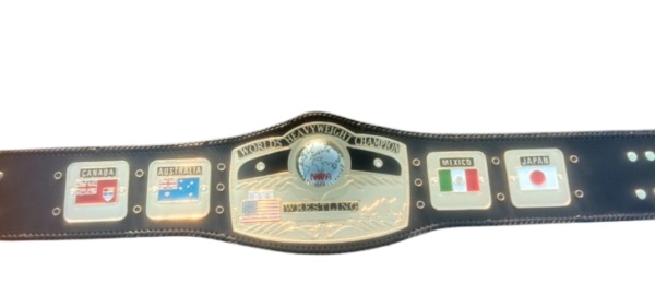 Custom Dome Globe 4MM Zinc SD Championship Belt – Shiny Gold Upgrade, Personalized Leather Strap - Image 2