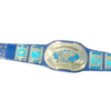WWF Oval IC Championship Belt – 2mm Brass, Customizable - Image 3