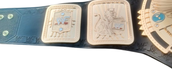 Big Eagle Championship Belt – 4mm Zinc, Shiny, Customizable - Image 3