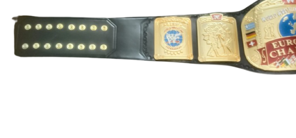 European Championship Belt – 4mm Zinc, Shiny Gold, Customizable - Image 3