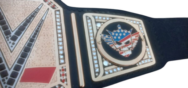 Undisputed Championship Belt – 4mm Zinc, Shiny Gold, Customizable - Image 3