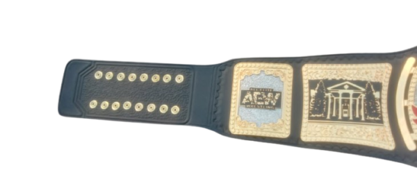 AEW TNT 4mm Brass Belt with 24K Gold Upgrade Leather Strap – Customizable - Image 4