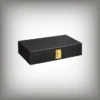 WWE Triple H Side Plates Championship Title Box Set - Image 3