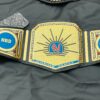 Custom Family Championship Belt – Personalized Wrestling Title Belt with Name Plates. - Image 13