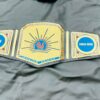 Custom Family Championship Belt – Personalized Wrestling Title Belt with Name Plates. - Image 3