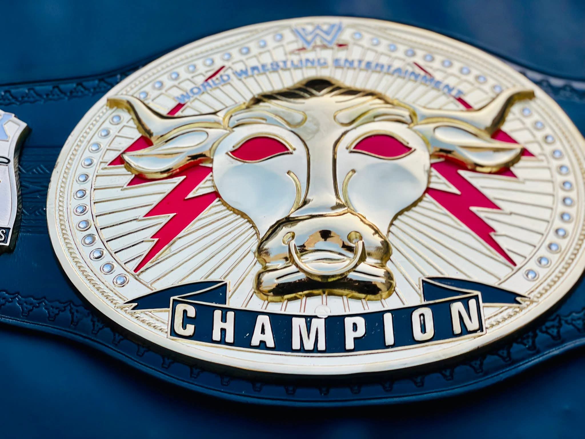 WWE The Rock "Brahma Bull" Signature Championship. - Image 3