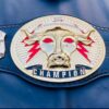 WWE The Rock "Brahma Bull" Signature Championship.