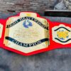 WWF Light Heavyweight Championship (Red Strap) - Image 11