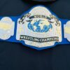 NWA World Tag Team Championship (Blue Strap Version) - Image 4