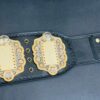 IWGP Heavyweight Championship (Version 4) - Image 5