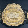 IWGP Heavyweight Championship (Version 4)