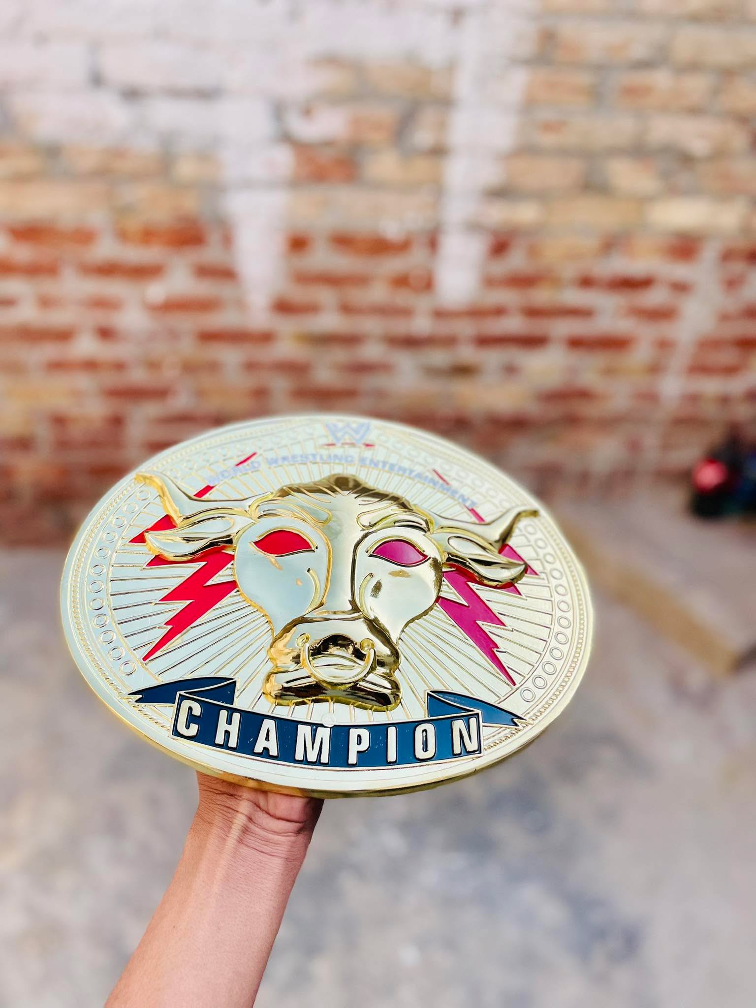 WWE The Rock "Brahma Bull" Signature Championship. - Image 15