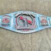 CM Punk "Best in the World" Signature Championship. - Image 9