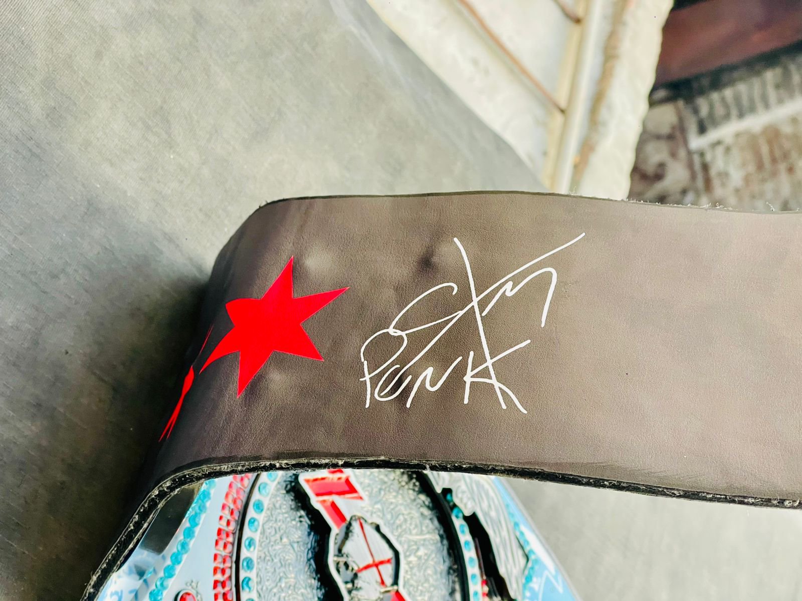 CM Punk "Best in the World" Signature Championship - Image 5