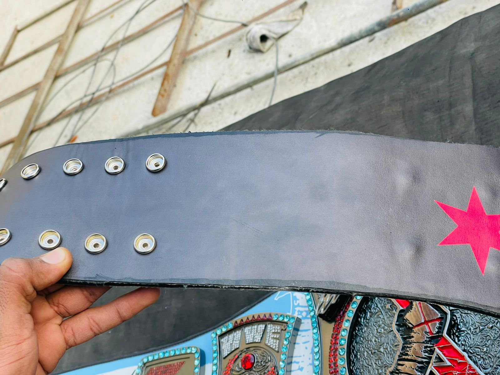 CM Punk "Best in the World" Signature Championship - Image 4