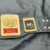 WWE Cruiserweight Championship (Ruthless Aggression Era) - Image 2
