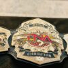 TNA World Heavyweight Championship (Original 2007 Design). - Image 9
