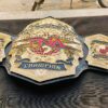 TNA World Heavyweight Championship (Original 2007 Design). - Image 5