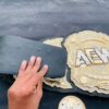 AEW World Championship (All Elite Wrestling). - Image 2