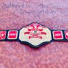 AEW National Custom Edition Championship Belt - Image 5