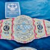 AEW World Championship – MJF "Big Burberry" Edition