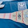 AEW World Championship – MJF "Big Burberry" Edition - Image 13