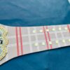AEW World Championship – MJF "Big Burberry" Edition - Image 10