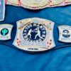 The "Too Many Chairshots" Champion (specifically designated for Cactus Chris). - Image 4
