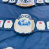 WCW World Tag Team Championship Replica - Image 5