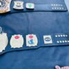 WCW World Tag Team Championship Replica - Image 7