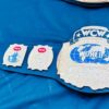 WCW World Tag Team Championship Replica - Image 2