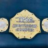 TNA Wrestling Heavyweight Championship Belt. - Image 4
