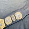 TNA Wrestling Heavyweight Championship Belt. - Image 5
