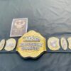TNA Wrestling Heavyweight Championship Belt. - Image 7
