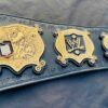 Custom WWE Winged Eagle Championship Replica Belt - Image 5