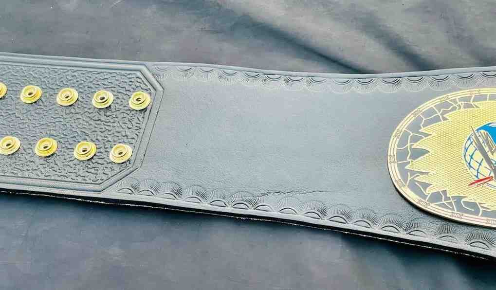 WWE Women's Championship (Trish Stratus Style) Replica Belt - Image 3
