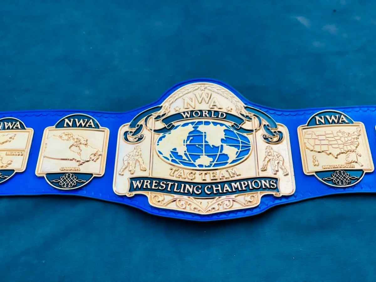 NWA World Tag Team Championship Replica Belt - Image 9