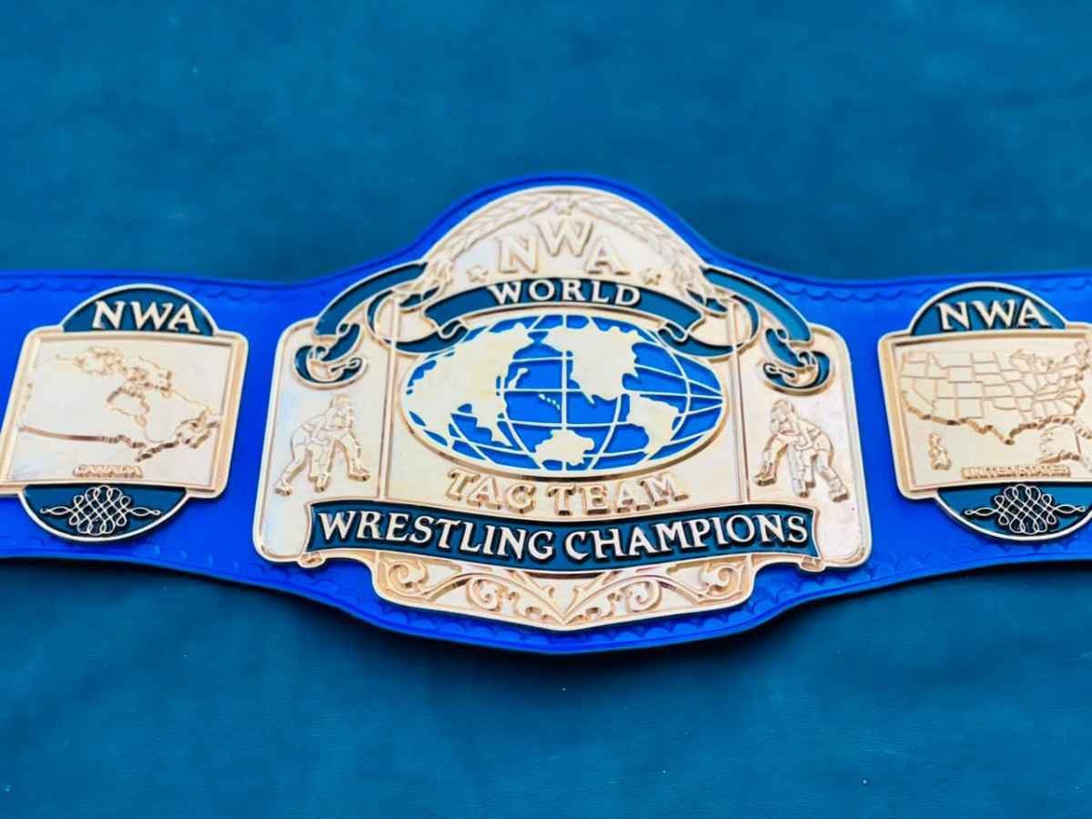 NWA World Tag Team Championship Replica Belt - Image 6