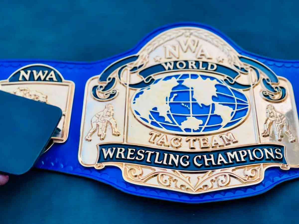 NWA World Tag Team Championship Replica Belt - Image 7