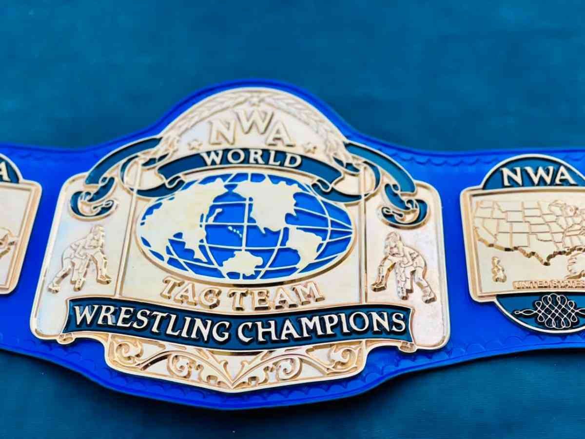 NWA World Tag Team Championship Replica Belt - Image 3