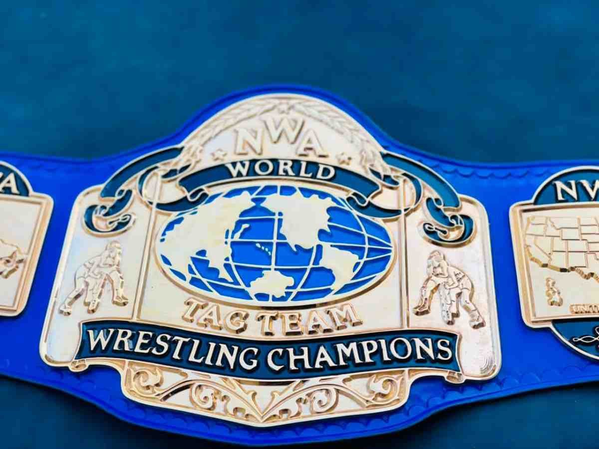 NWA World Tag Team Championship Replica Belt - Image 5