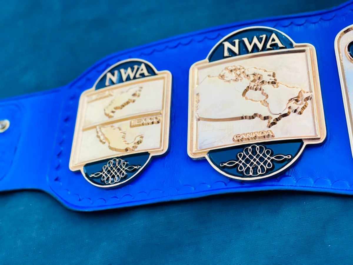 NWA World Tag Team Championship Replica Belt - Image 8