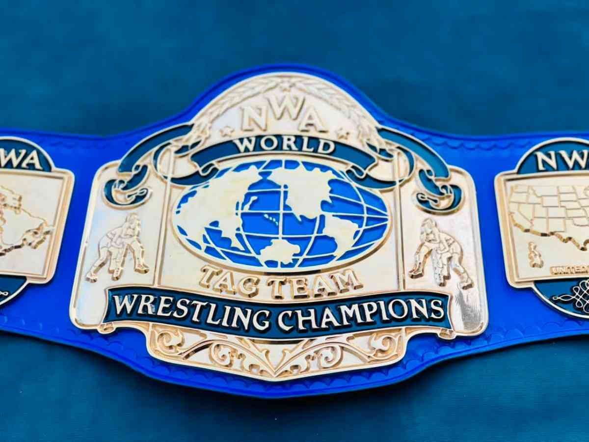 NWA World Tag Team Championship Replica Belt - Image 2