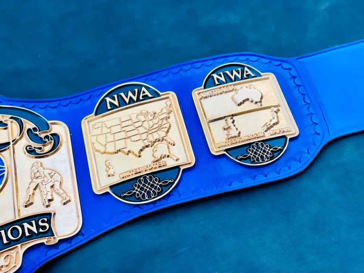 NWA World Tag Team Championship Replica Belt - Image 4