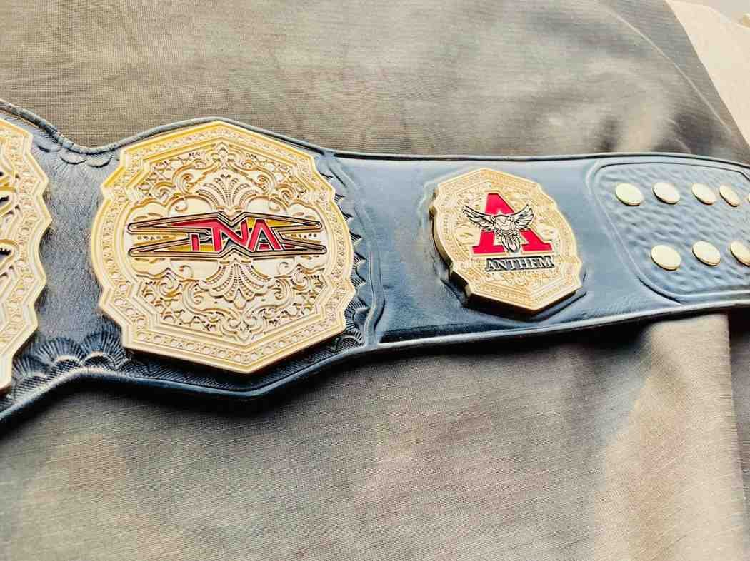 TNA World Heavyweight Championship 4mm Replica Belt - Image 6