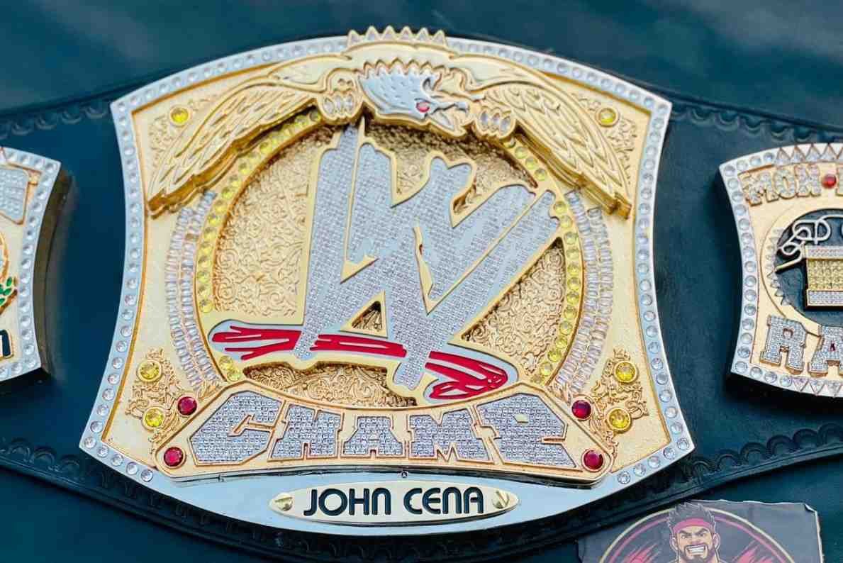 Custom WWE Spinner 20mm 3D 24k Gold Belt - Image 5